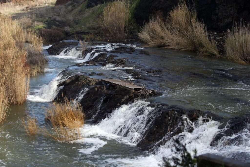 dams