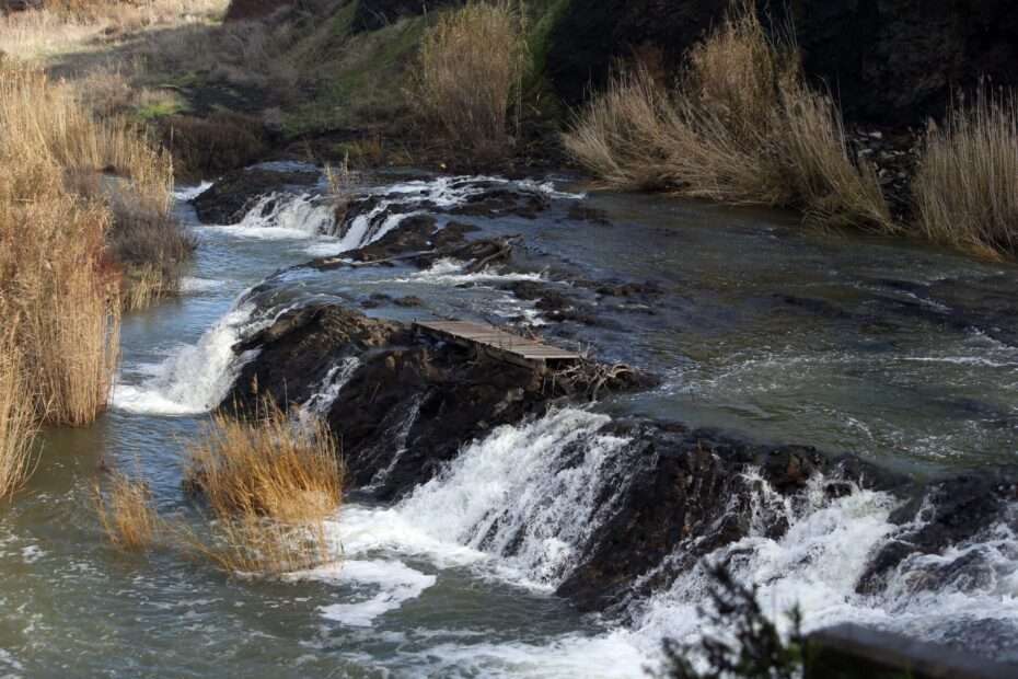 dams